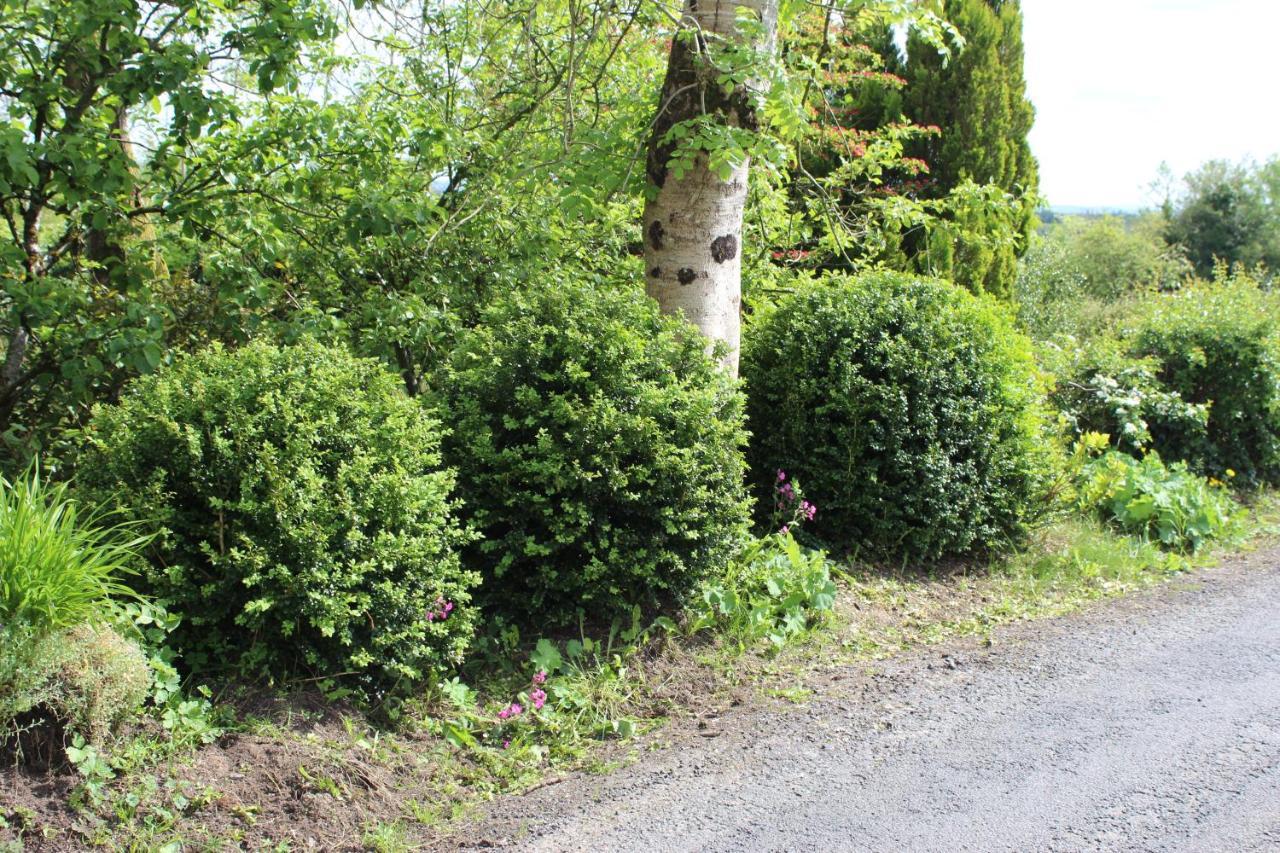 Ketty'S Cottage Rosslea Exterior photo